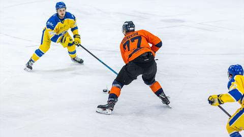SUSTERS STRENGTHENS THE OFFENCE FOR 23/24 SEASON
